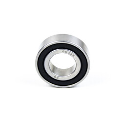 EZO 6204H 2RS - 2