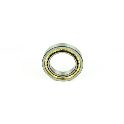 FAG NJ2311-E-XL-M1-C4 - 2