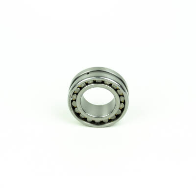 FAG NN3009-AS-M-SP - 2