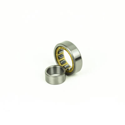 ROLLWAY NU1009-M - 4