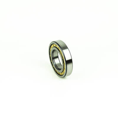 FAG NU2260-EX-TB-M1-C3 - 1