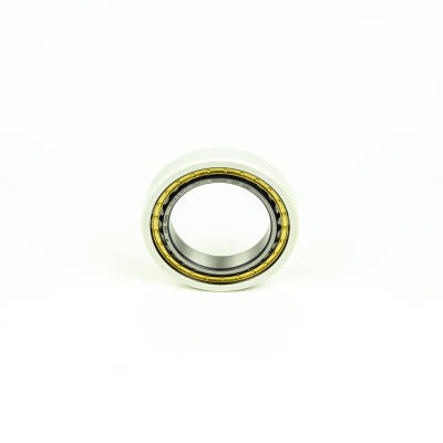FAG NU319-E-XL-M1-J20AA-C3 - 2